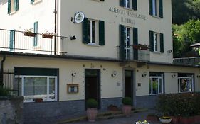 Hotel Il Nibbio  2*
